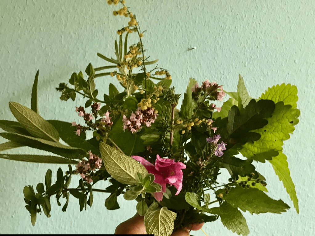 Kräuter & Brauchtum im&nbsp;Jahreskreis