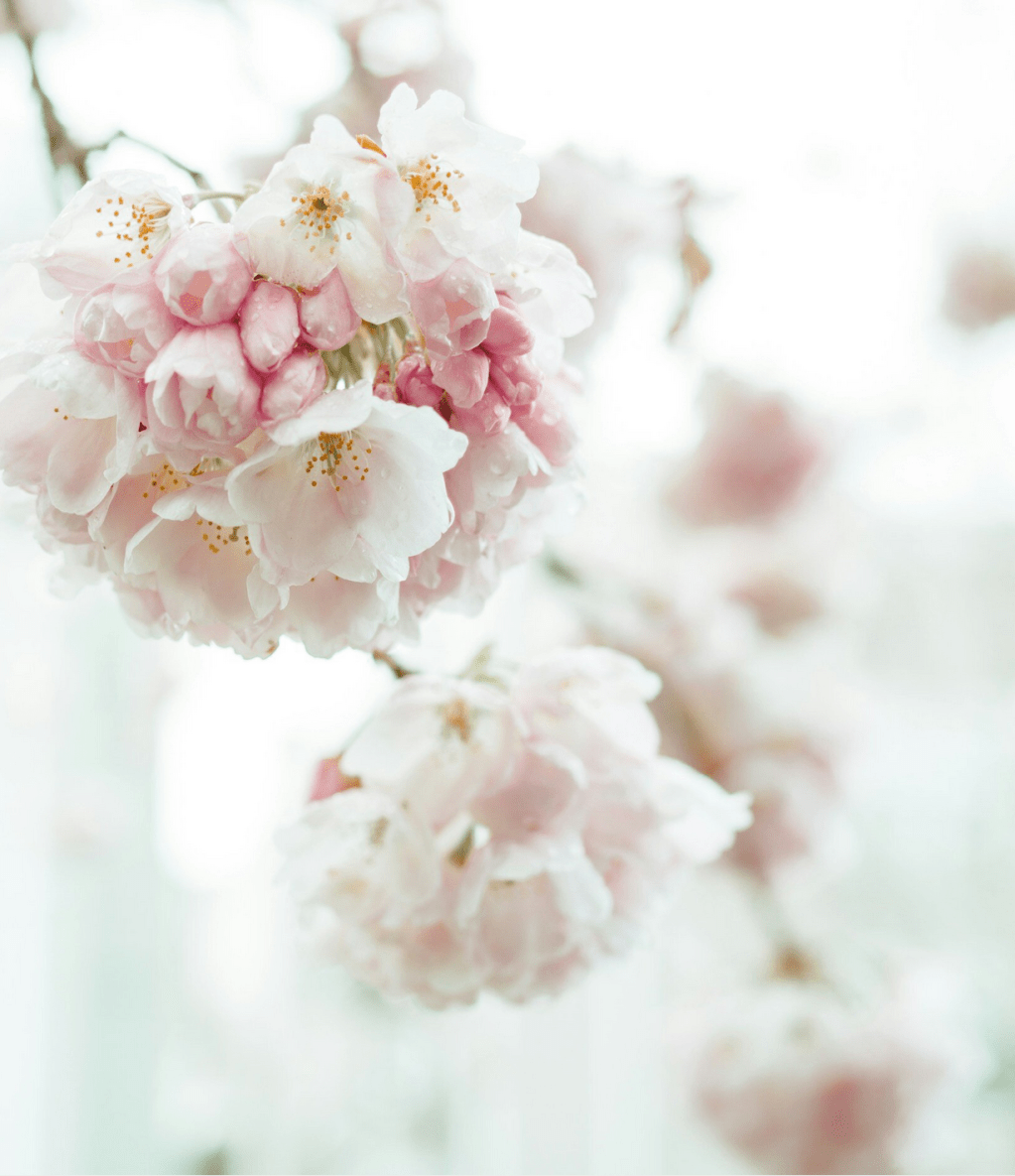 Willkommen in der Kreativ Leben&nbsp;Akademie